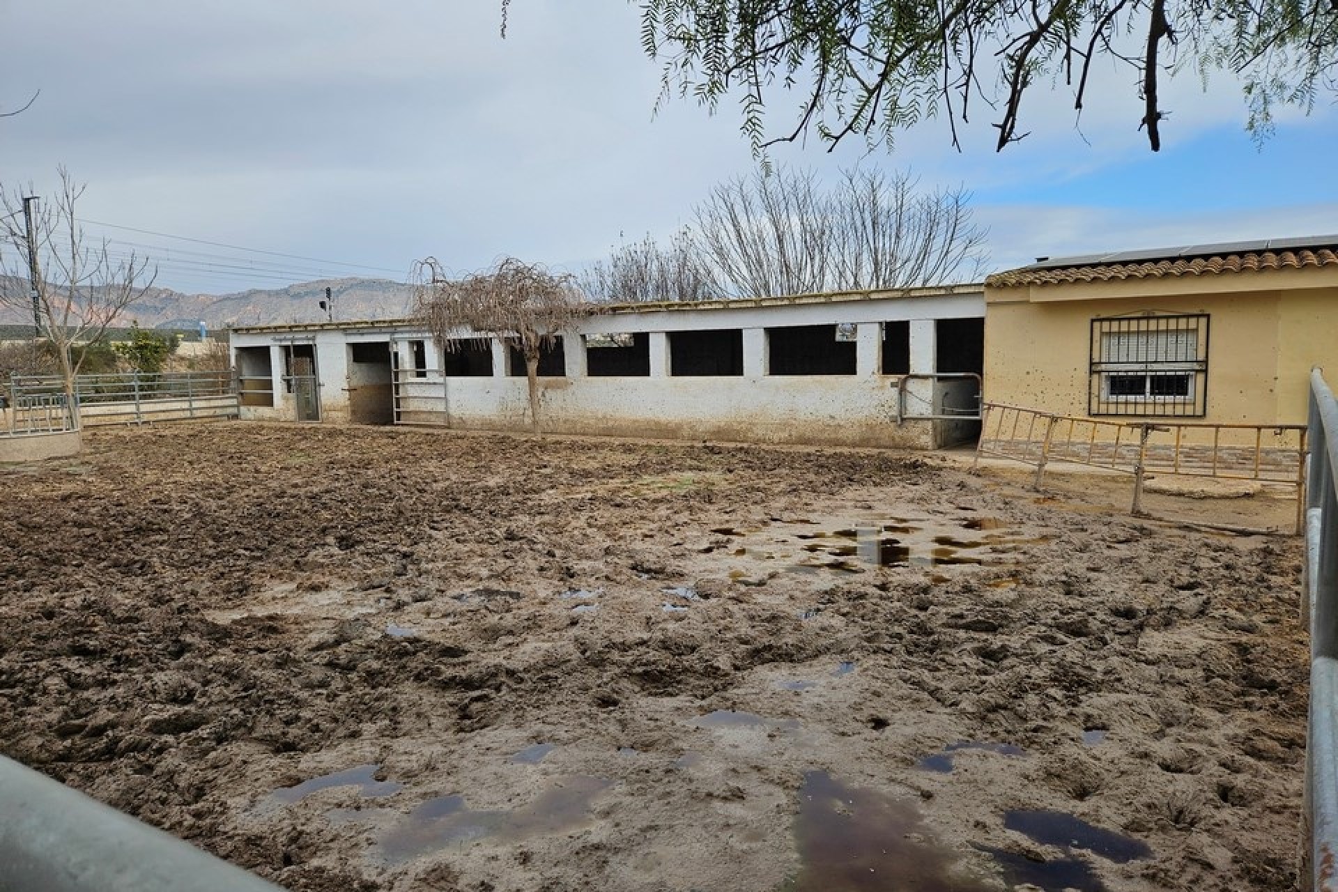 Herverkoop - Finca / Landhuis -
Orihuela