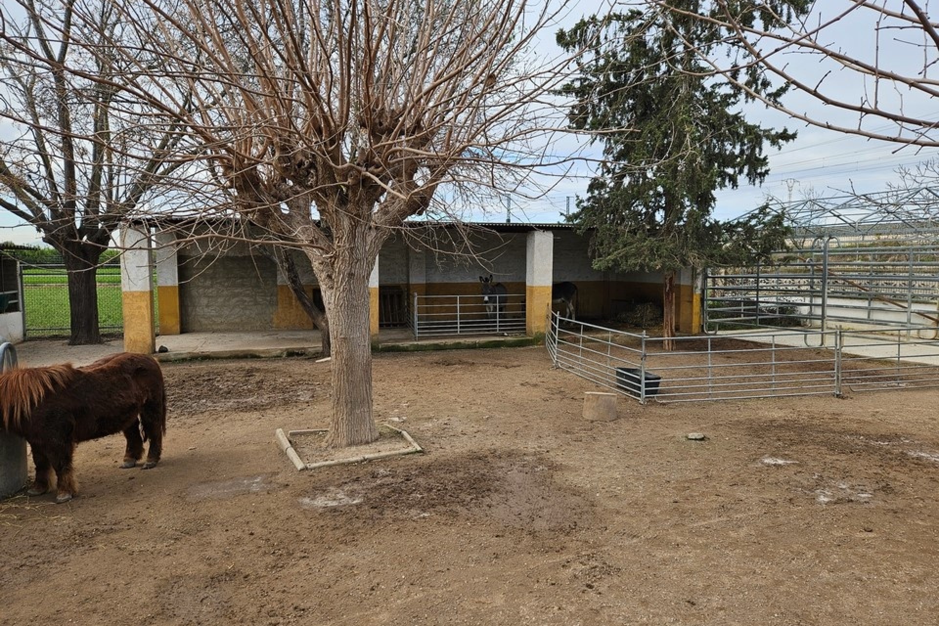 Herverkoop - Finca / Landhuis -
Orihuela