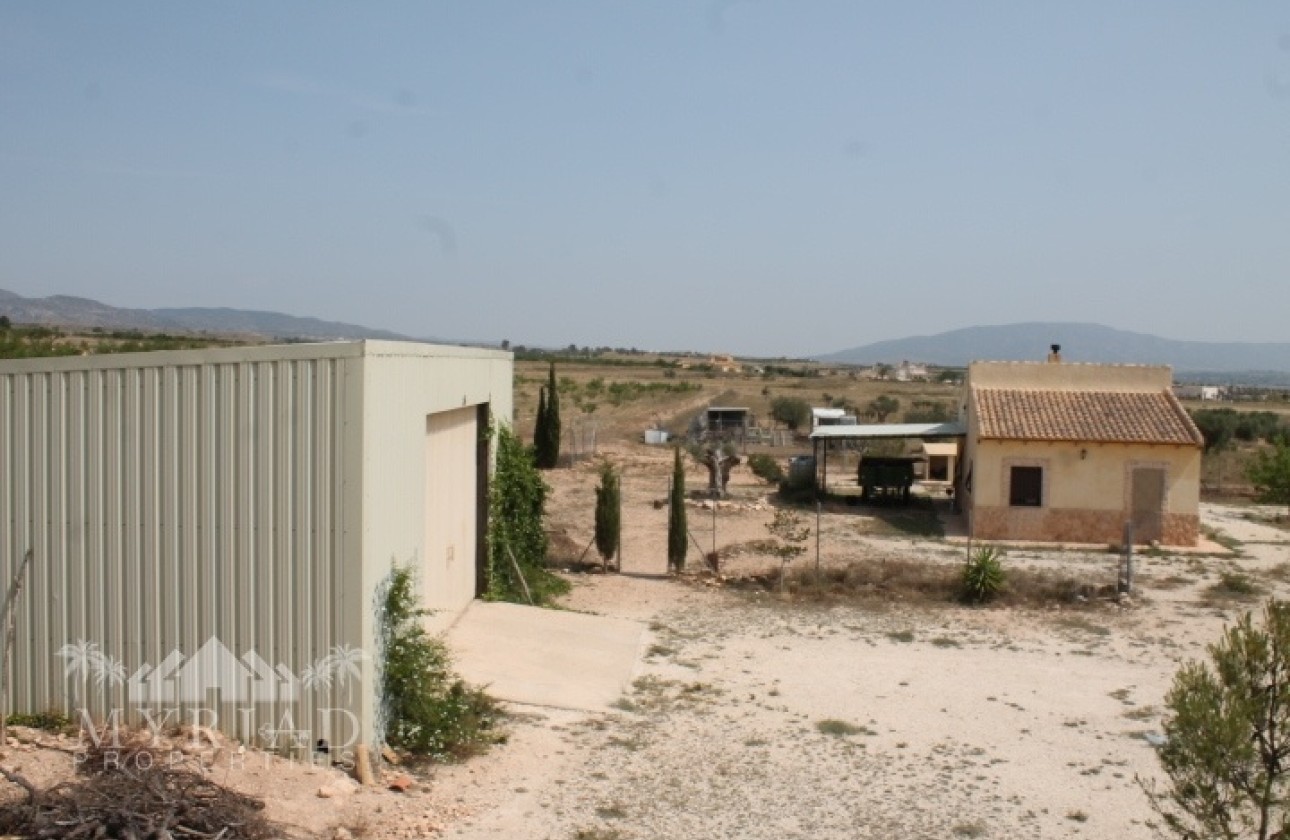 Herverkoop - Finca / Landhuis -
Pinoso - Pinoso Alicante