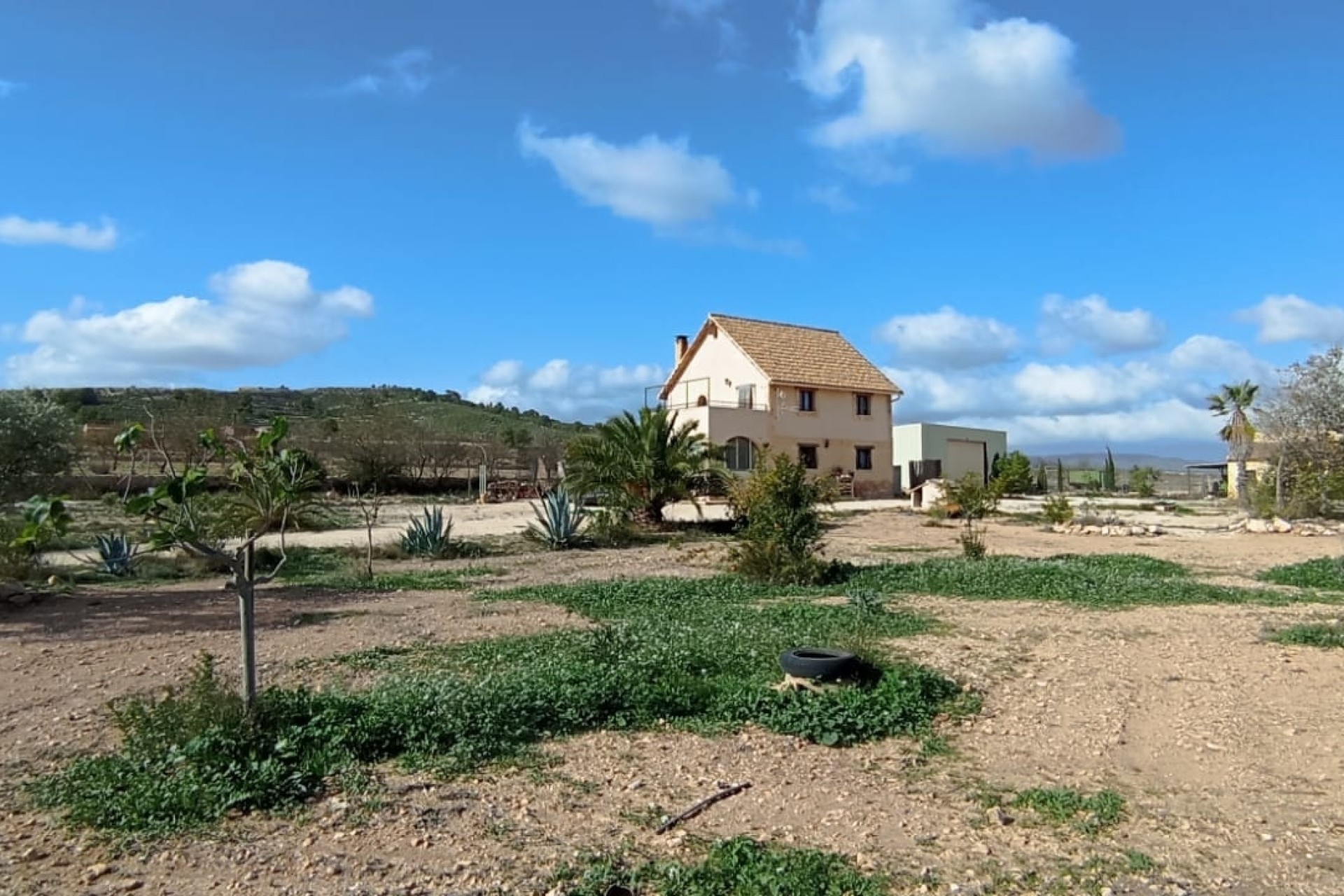 Herverkoop - Finca / Landhuis -
Pinoso - Pinoso Alicante