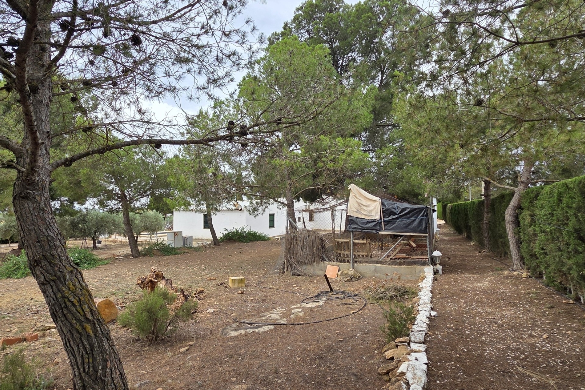 Herverkoop - Finca / Landhuis -
Pinoso
