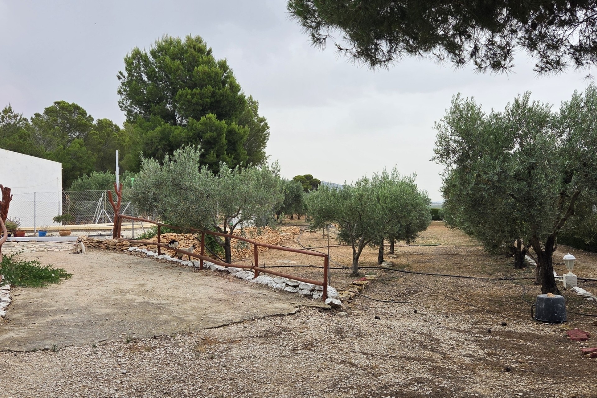Herverkoop - Finca / Landhuis -
Pinoso