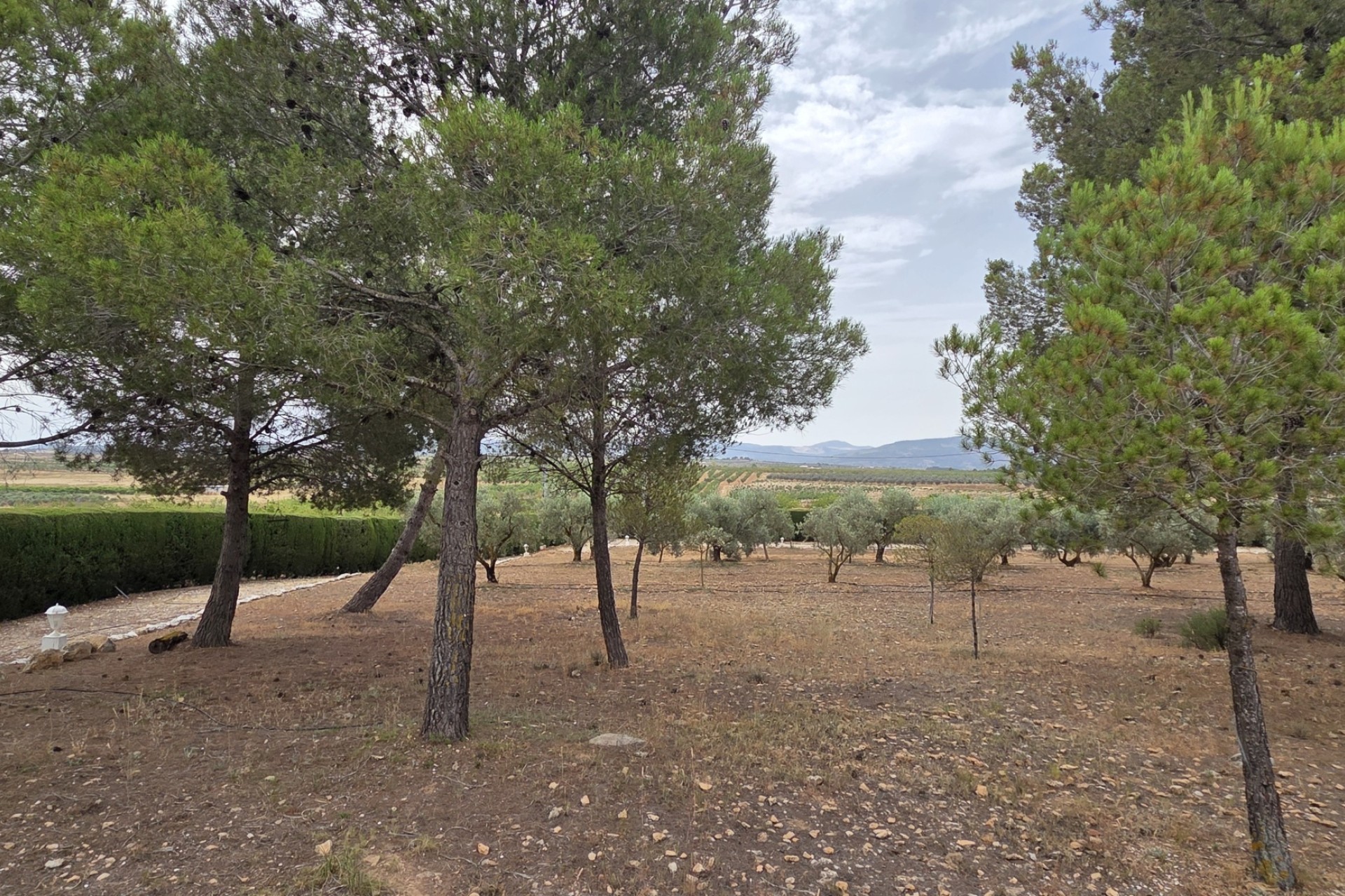 Herverkoop - Finca / Landhuis -
Pinoso