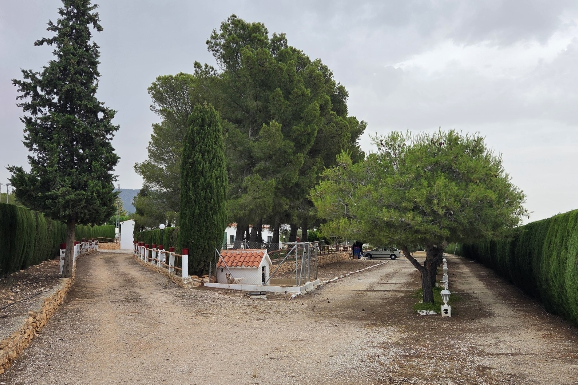 Herverkoop - Finca / Landhuis -
Pinoso