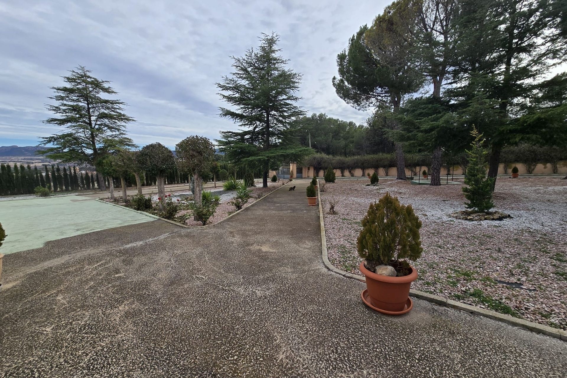 Herverkoop - Finca / Landhuis -
Salinas