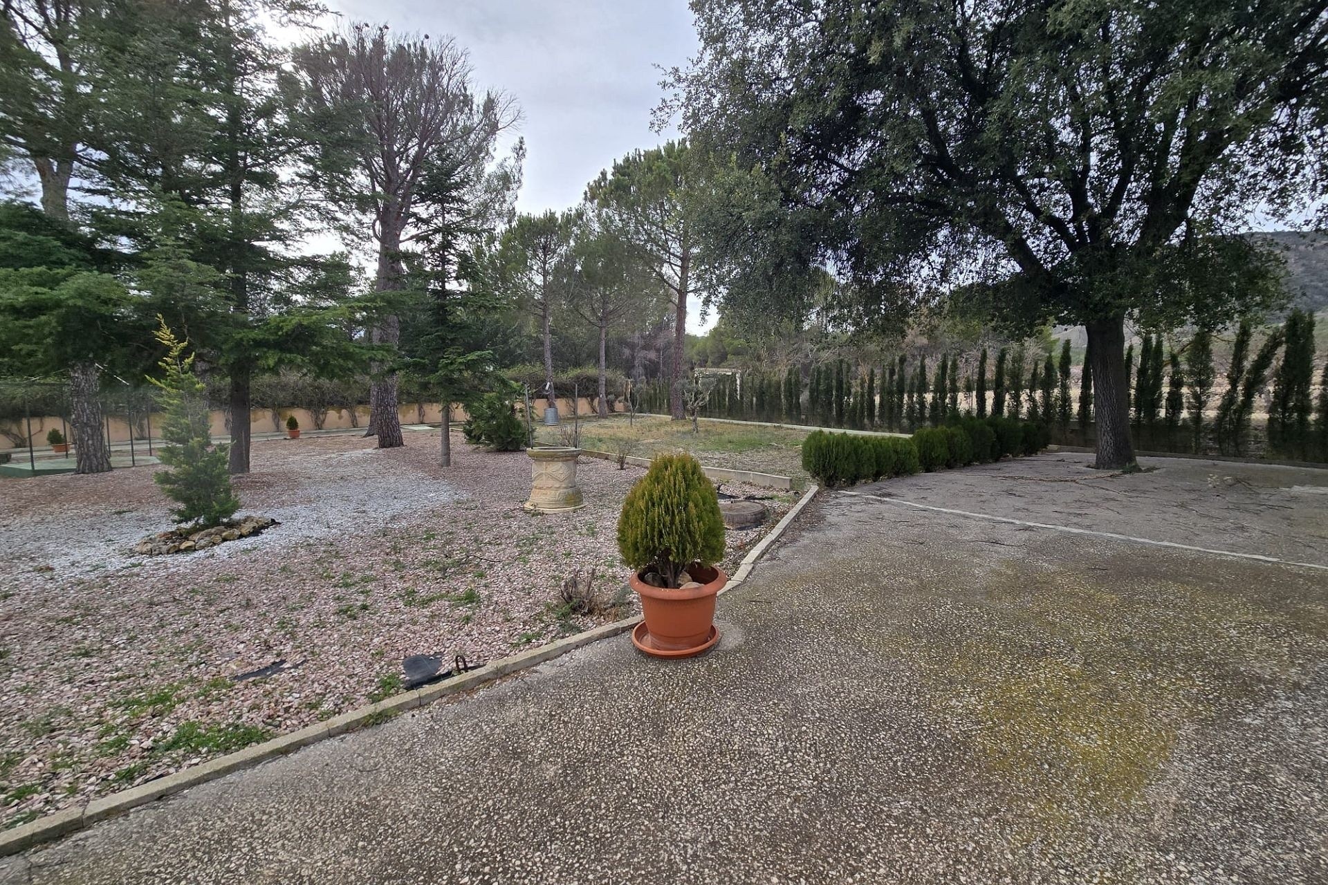 Herverkoop - Finca / Landhuis -
Salinas