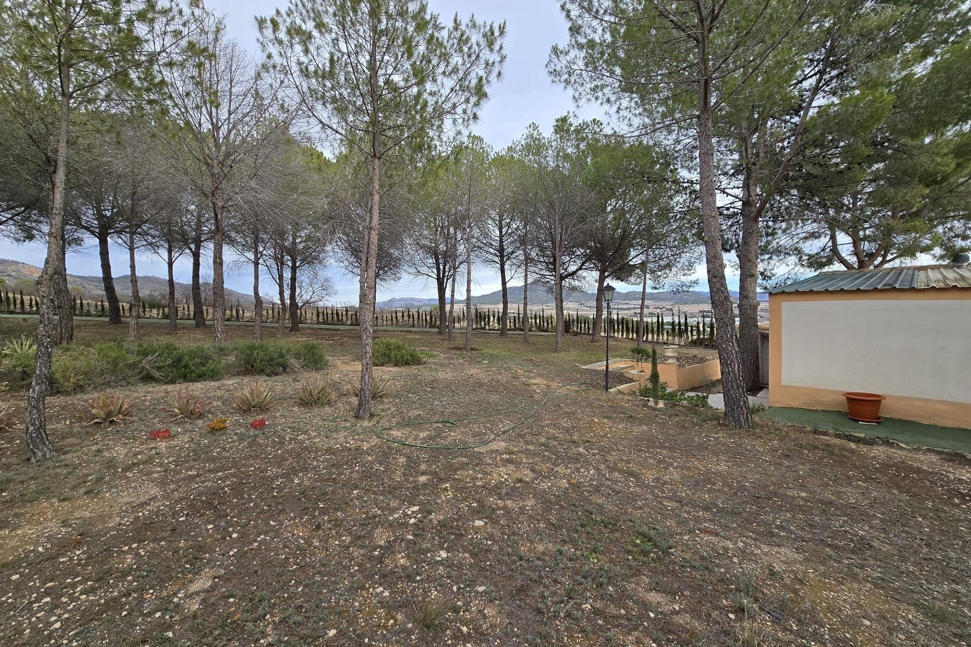 Herverkoop - Finca / Landhuis -
Salinas