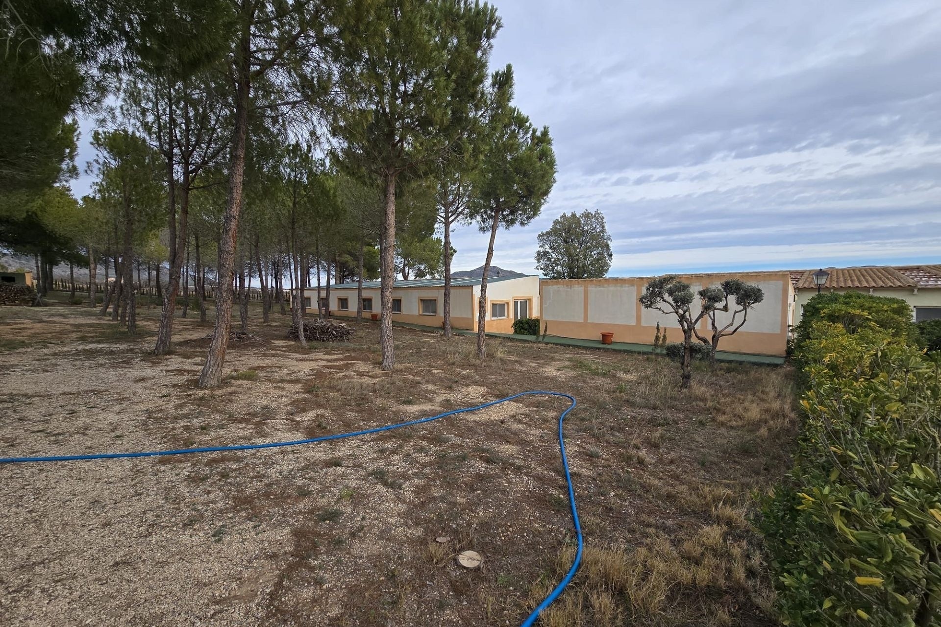 Herverkoop - Finca / Landhuis -
Salinas
