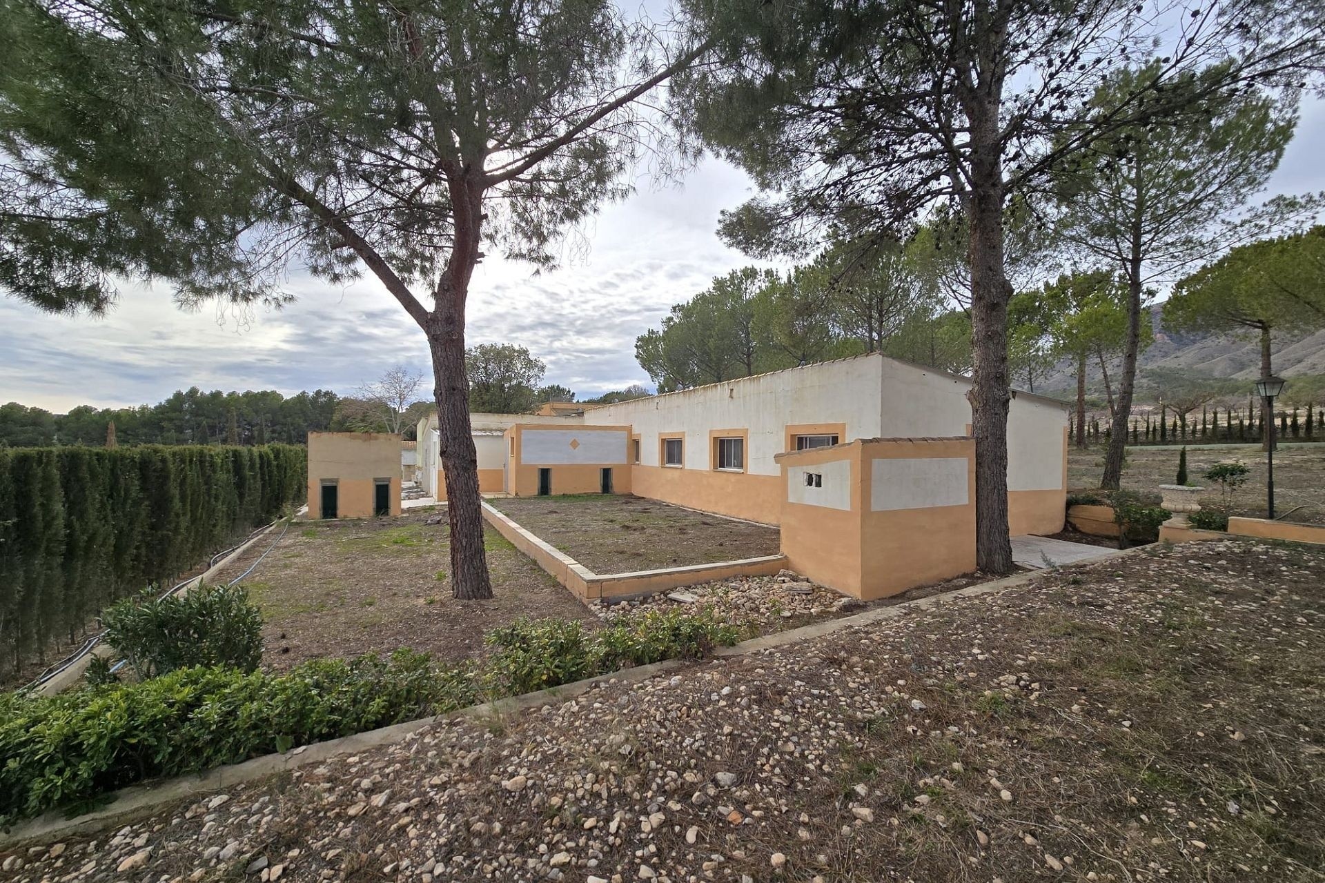 Herverkoop - Finca / Landhuis -
Salinas