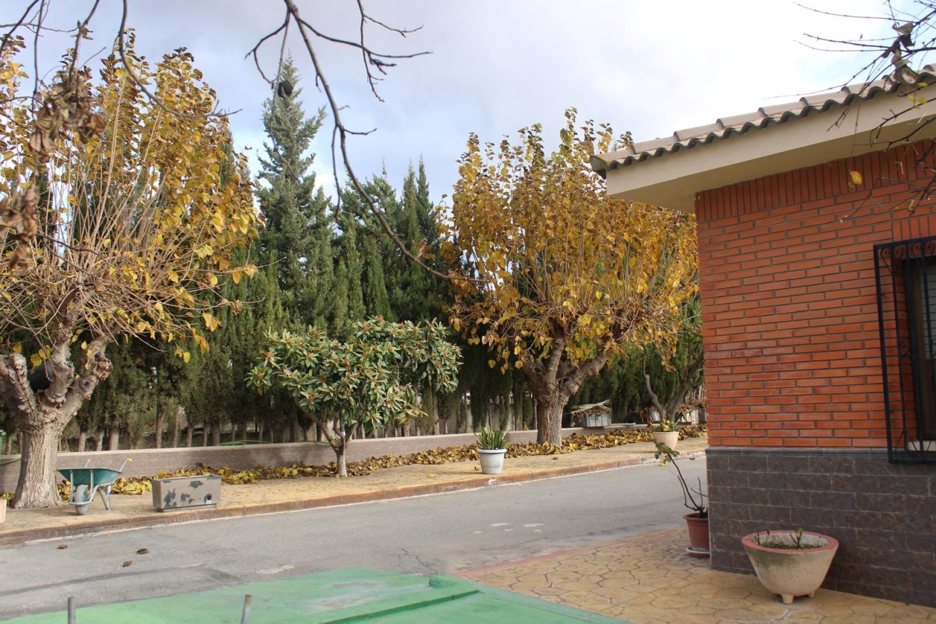 Herverkoop - Finca / Landhuis -
Sax - SAX