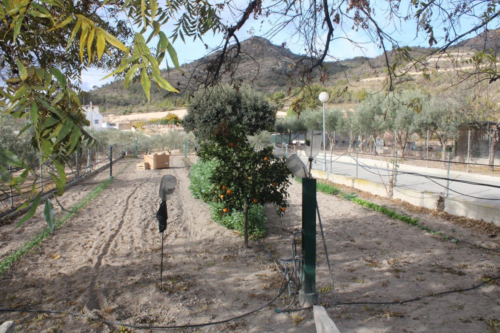 Herverkoop - Finca / Landhuis -
Sax - SAX