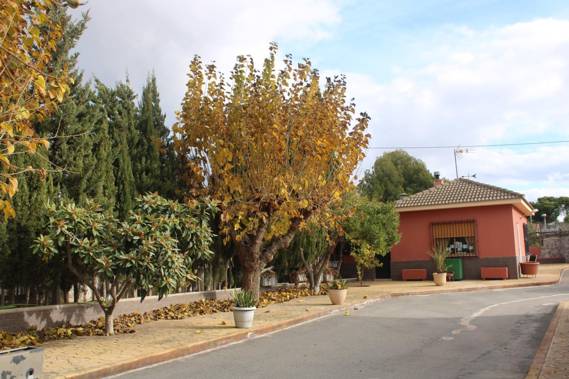 Herverkoop - Finca / Landhuis -
Sax