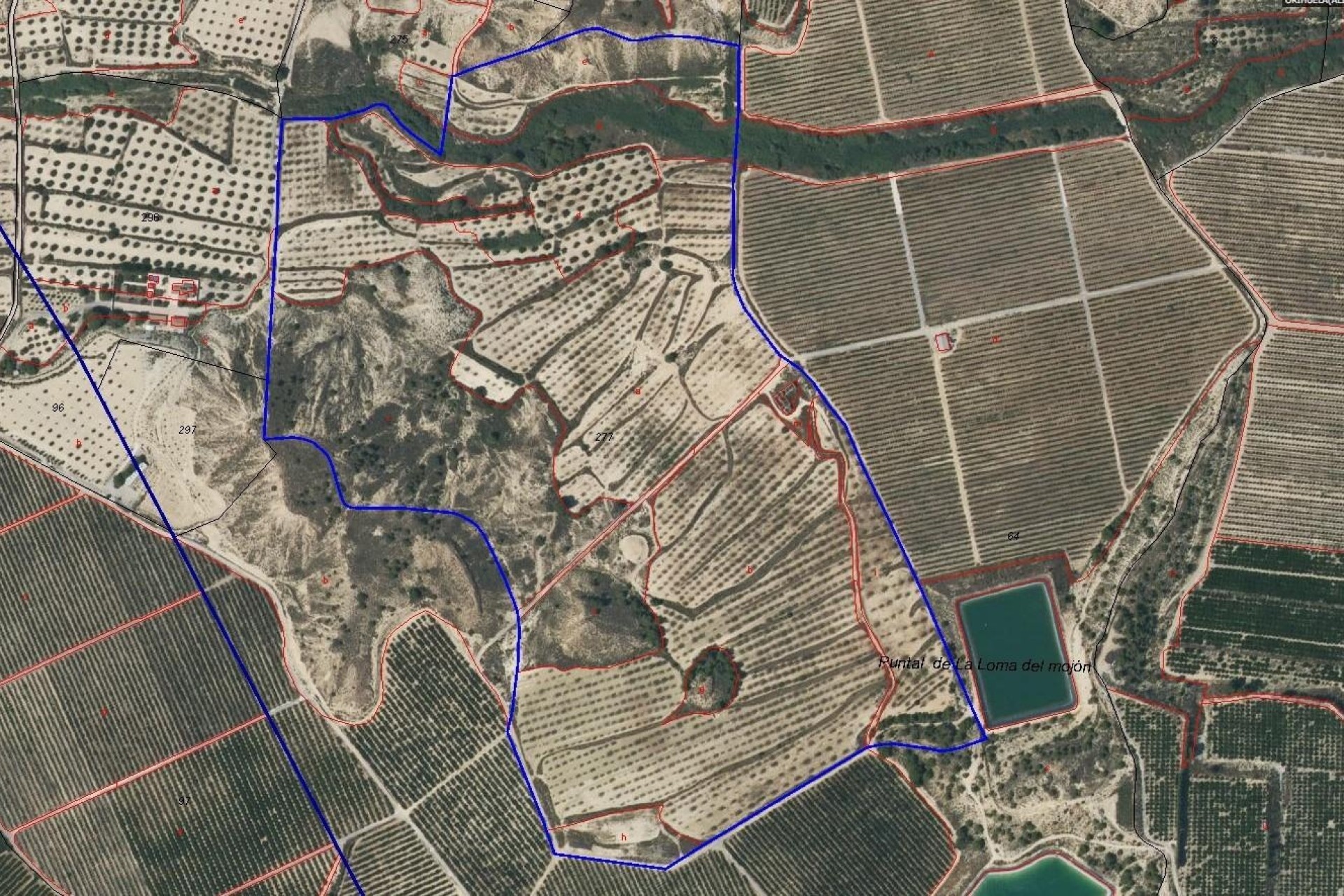 Herverkoop - Finca / Landhuis -
Torremendo