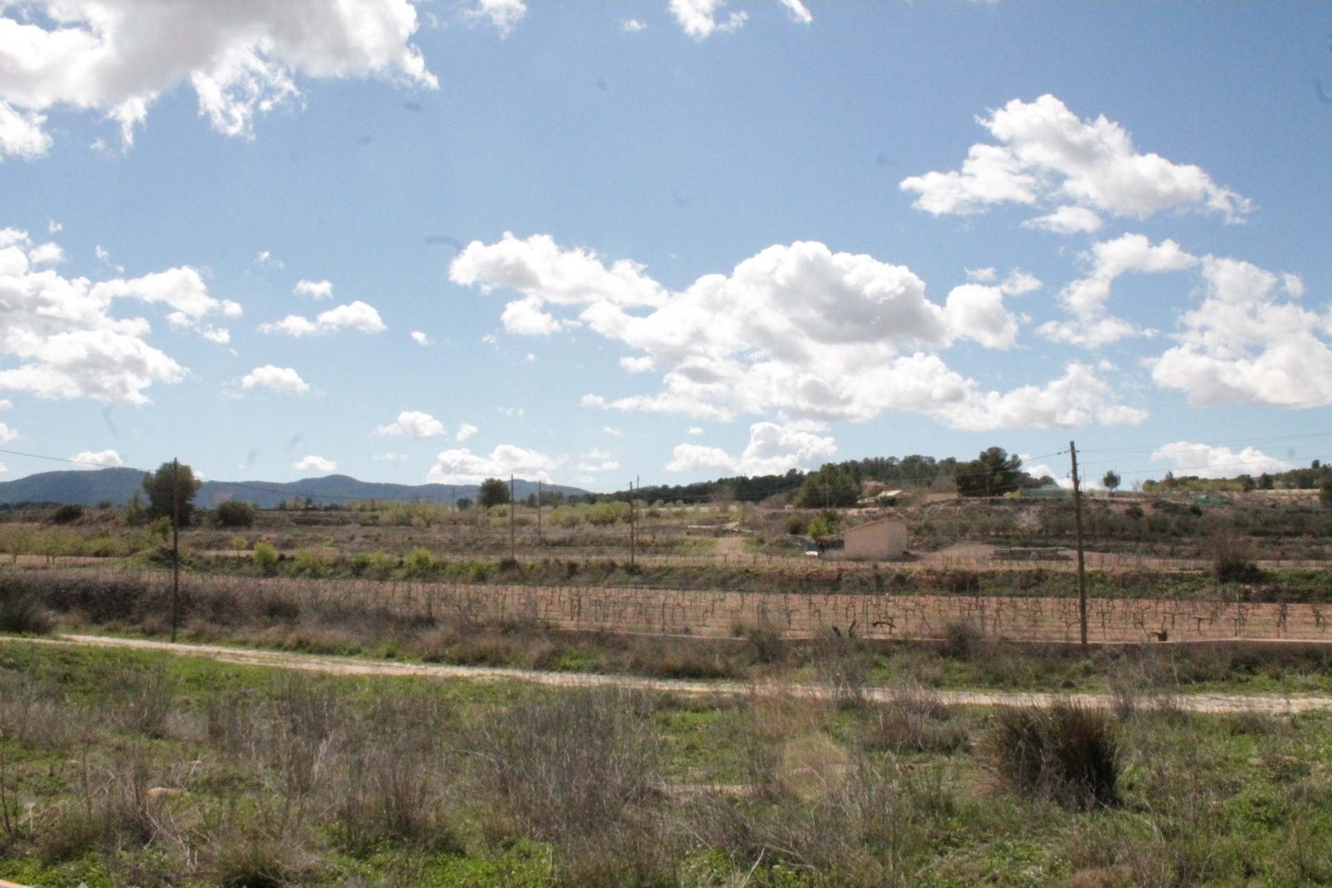Herverkoop - Finca / Landhuis -
&Uacute;beda - &Uacute;beda Alicante