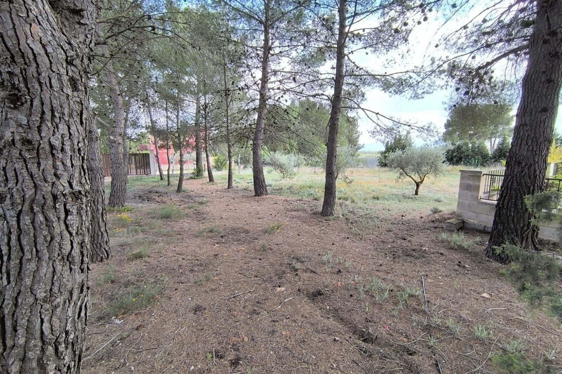 Herverkoop - Finca / Landhuis -
Yecla - Inland