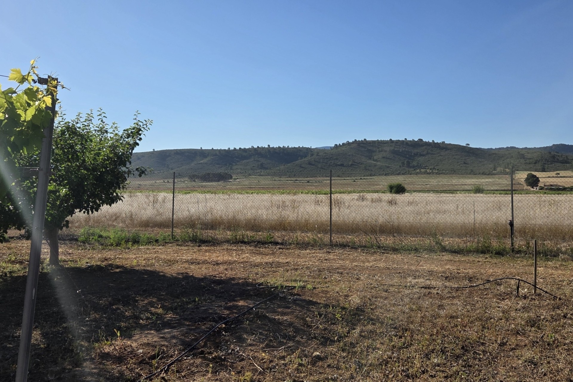 Herverkoop - Finca / Landhuis -
Yecla