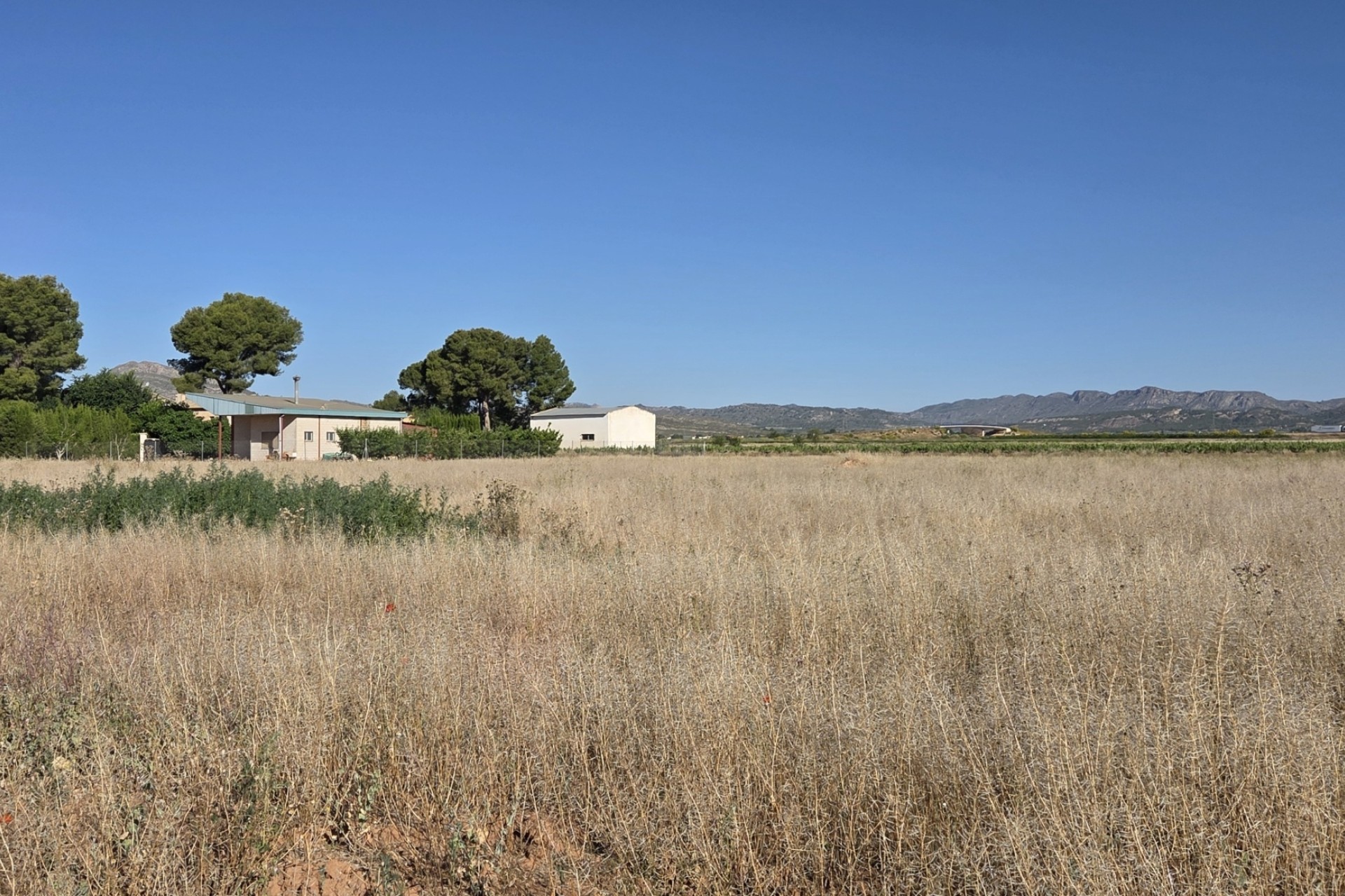Herverkoop - Finca / Landhuis -
Yecla