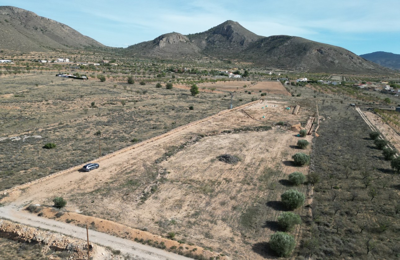 Herverkoop - Grond -
Barbarroja