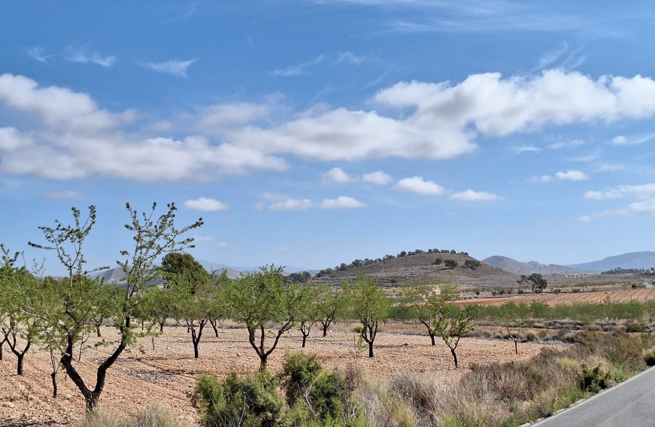 Herverkoop - Grond -
La Zarza