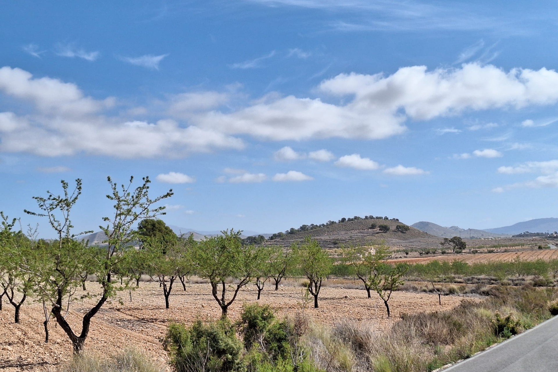 Herverkoop - Grond -
La Zarza