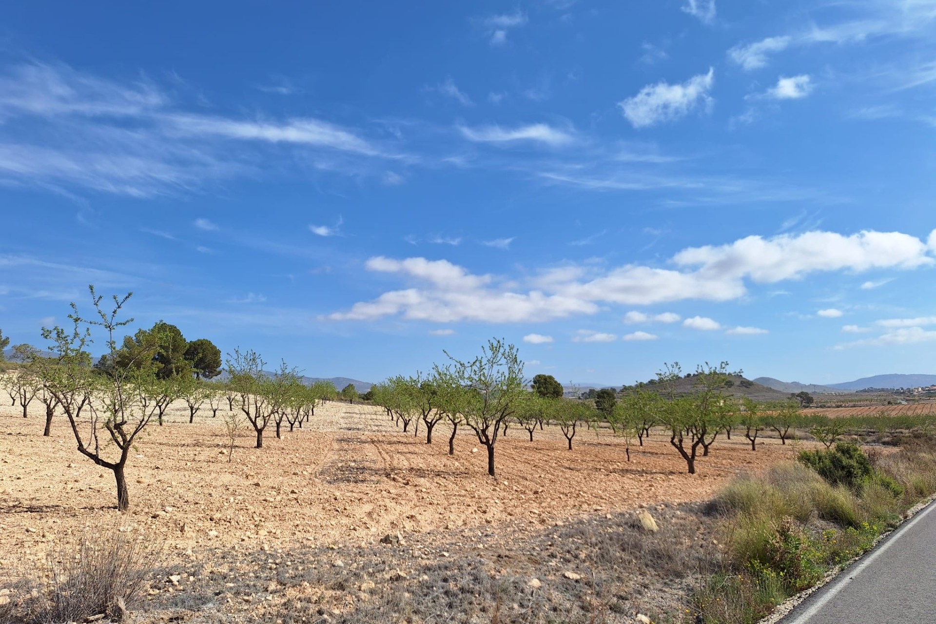 Herverkoop - Grond -
La Zarza