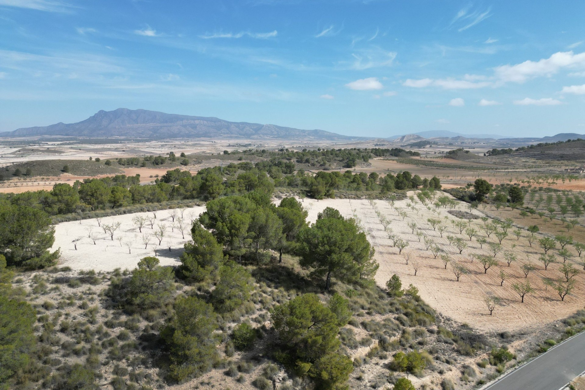 Herverkoop - Grond -
La Zarza