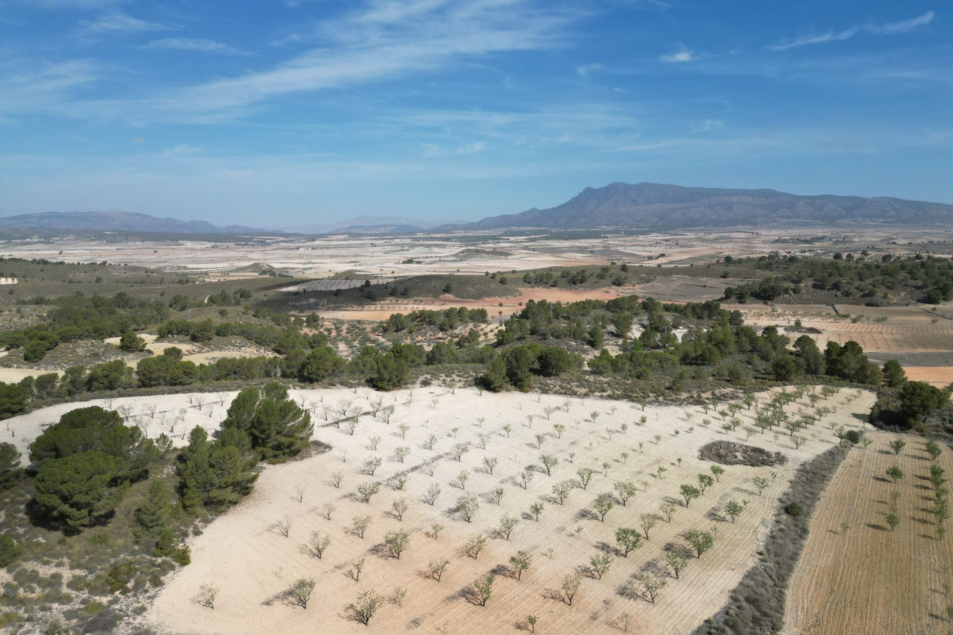 Herverkoop - Grond -
La Zarza