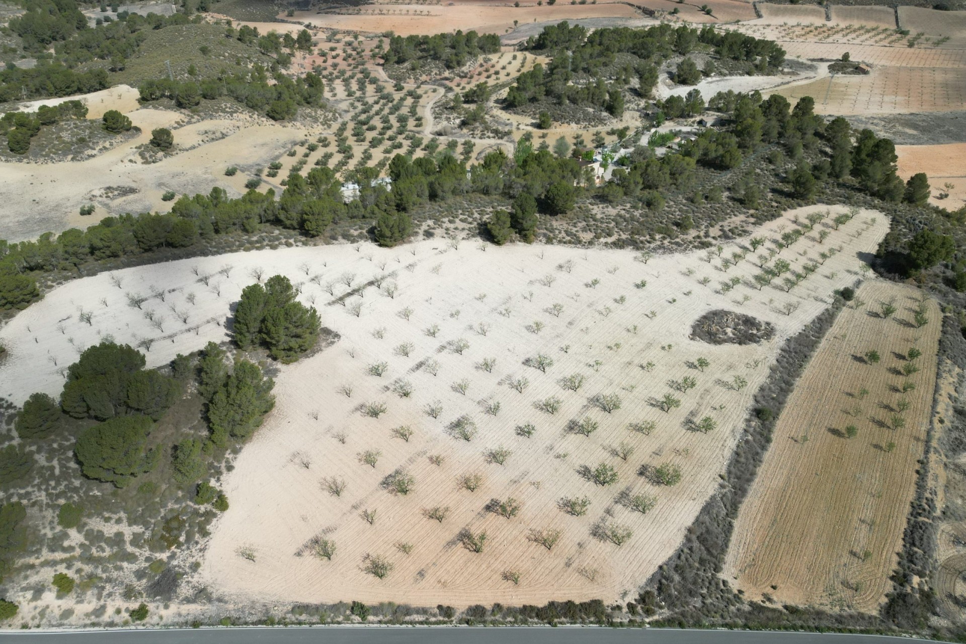 Herverkoop - Grond -
La Zarza