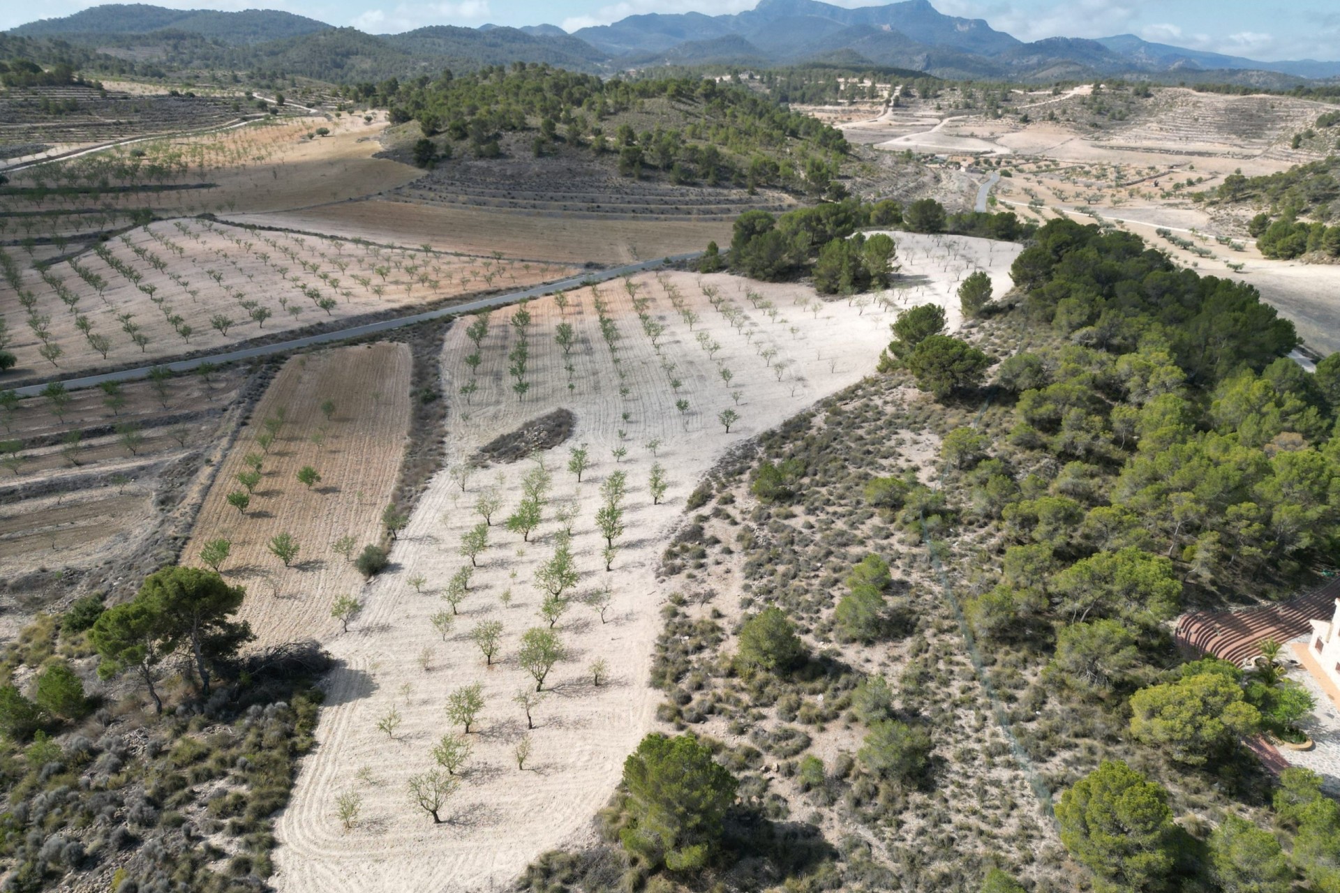 Herverkoop - Grond -
La Zarza