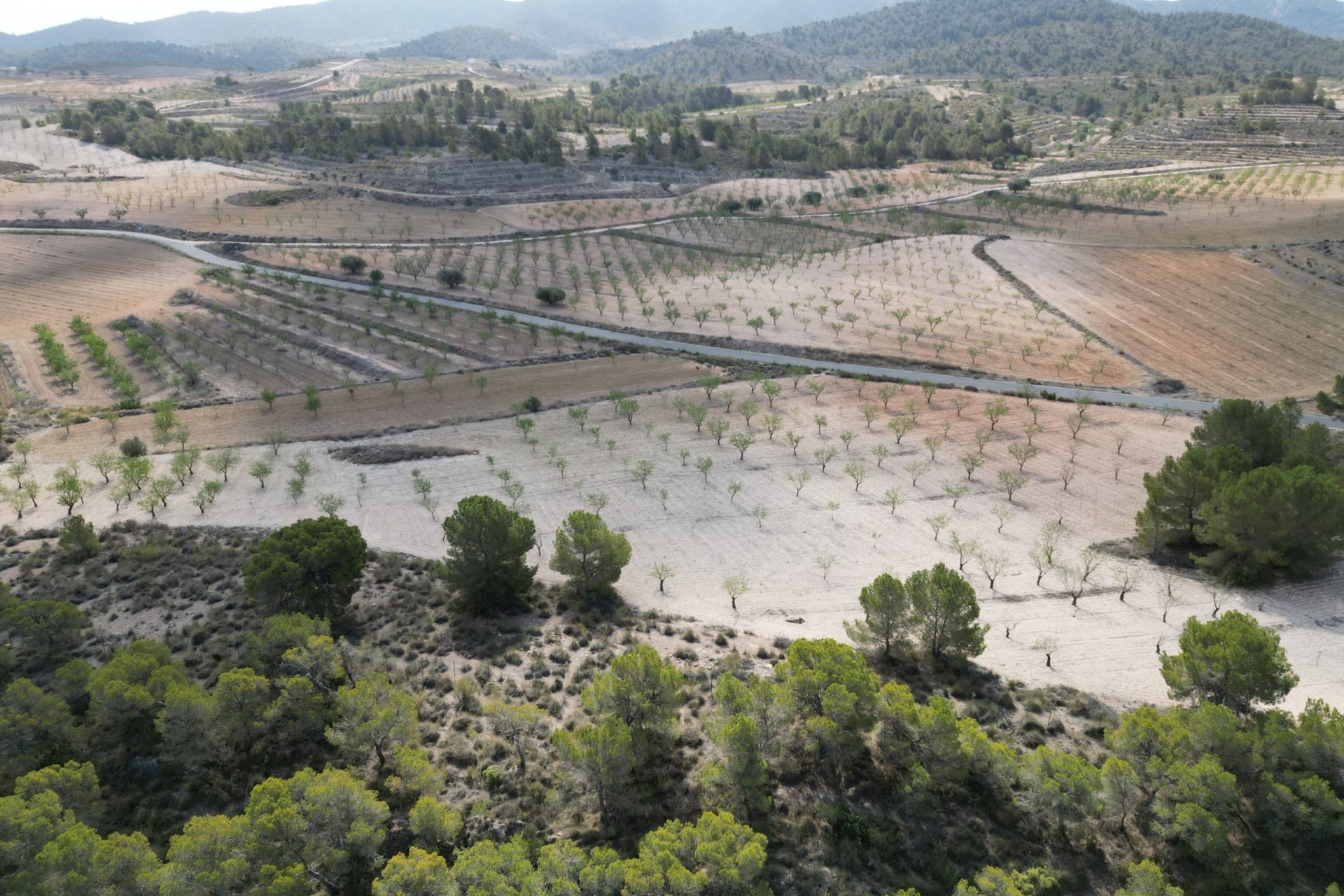 Herverkoop - Grond -
La Zarza