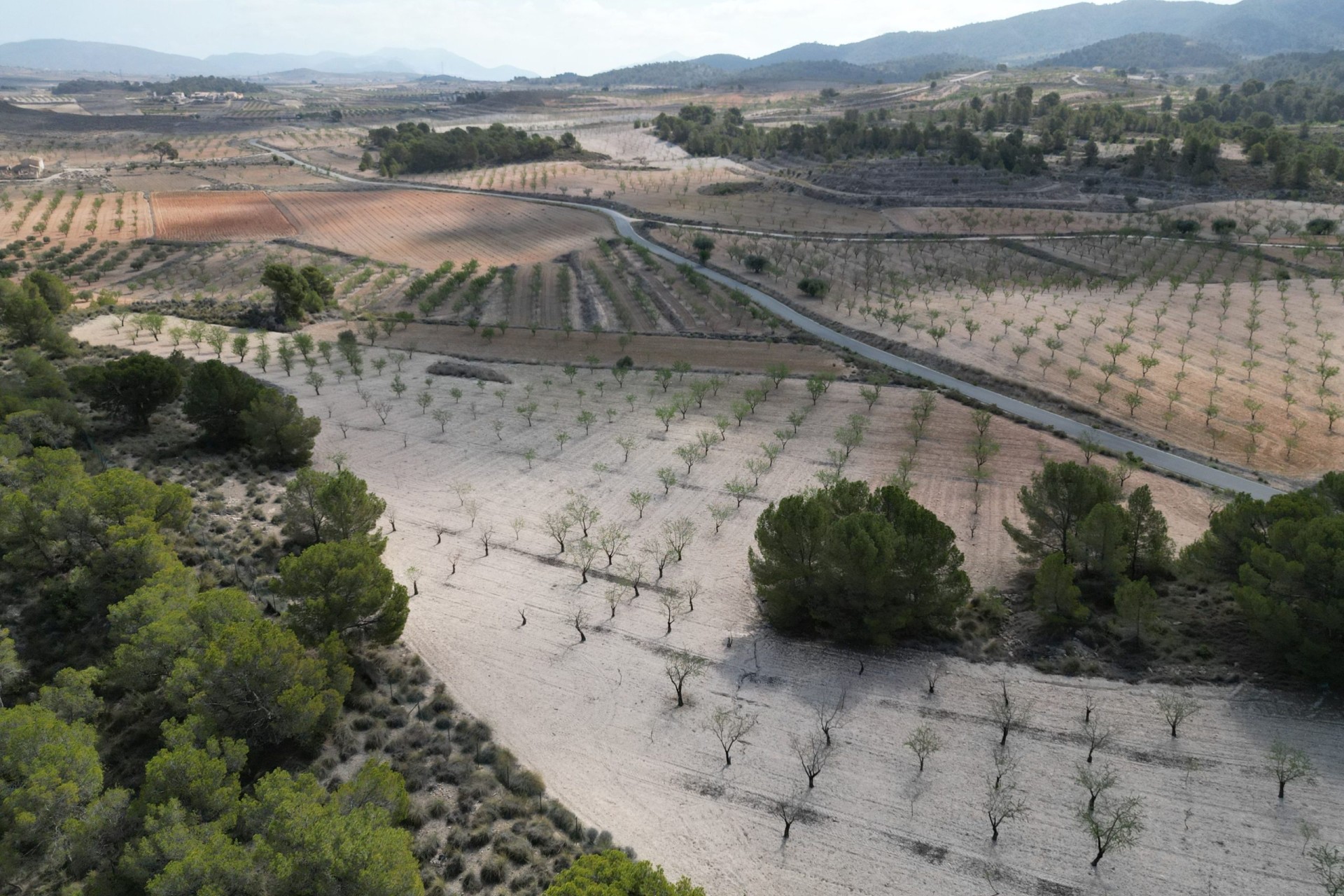 Herverkoop - Grond -
La Zarza