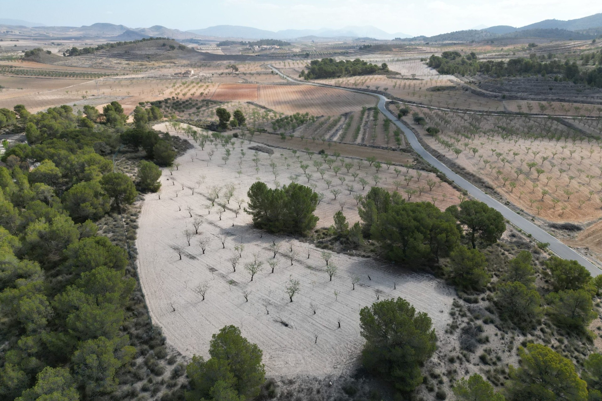 Herverkoop - Grond -
La Zarza