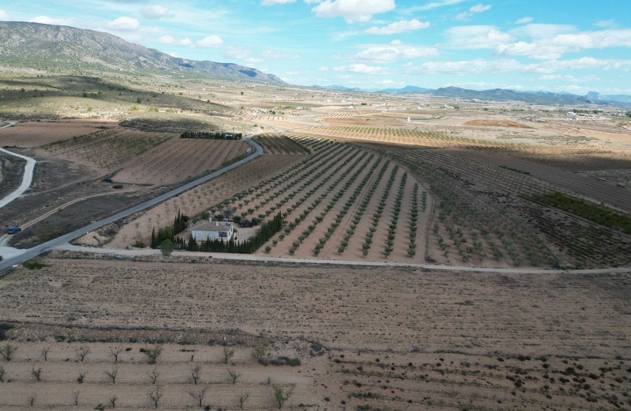 Herverkoop - Grond -
Lel