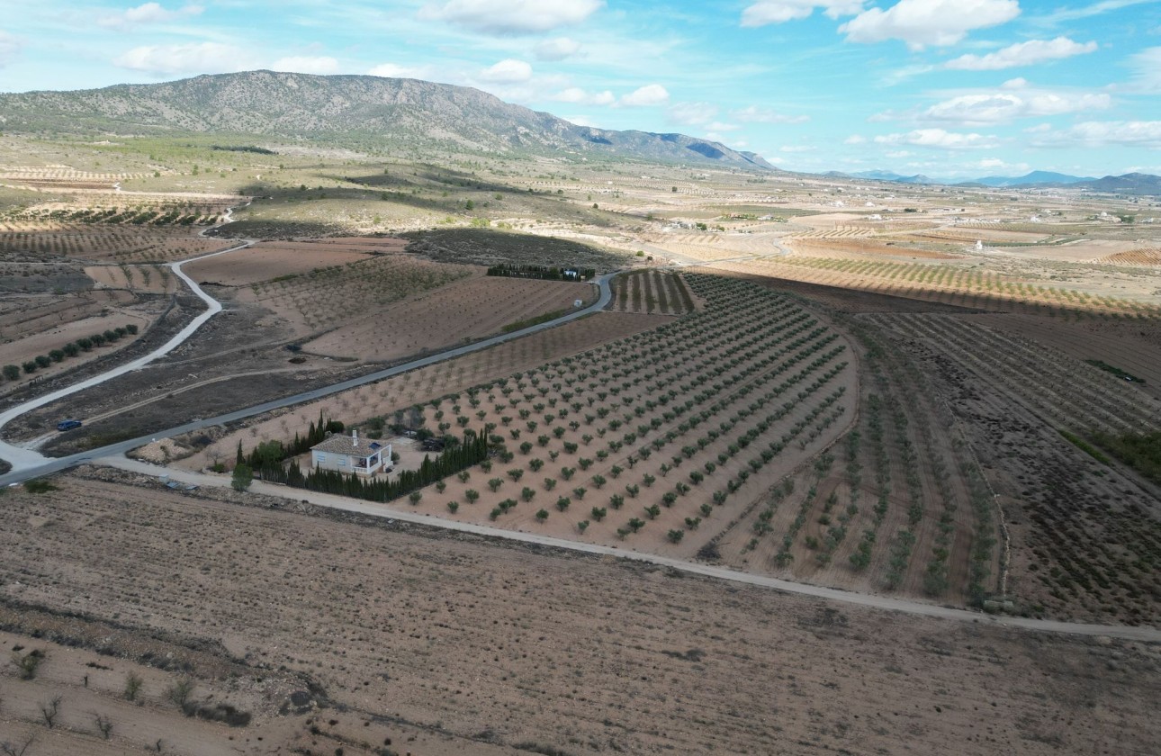 Herverkoop - Grond -
Lel