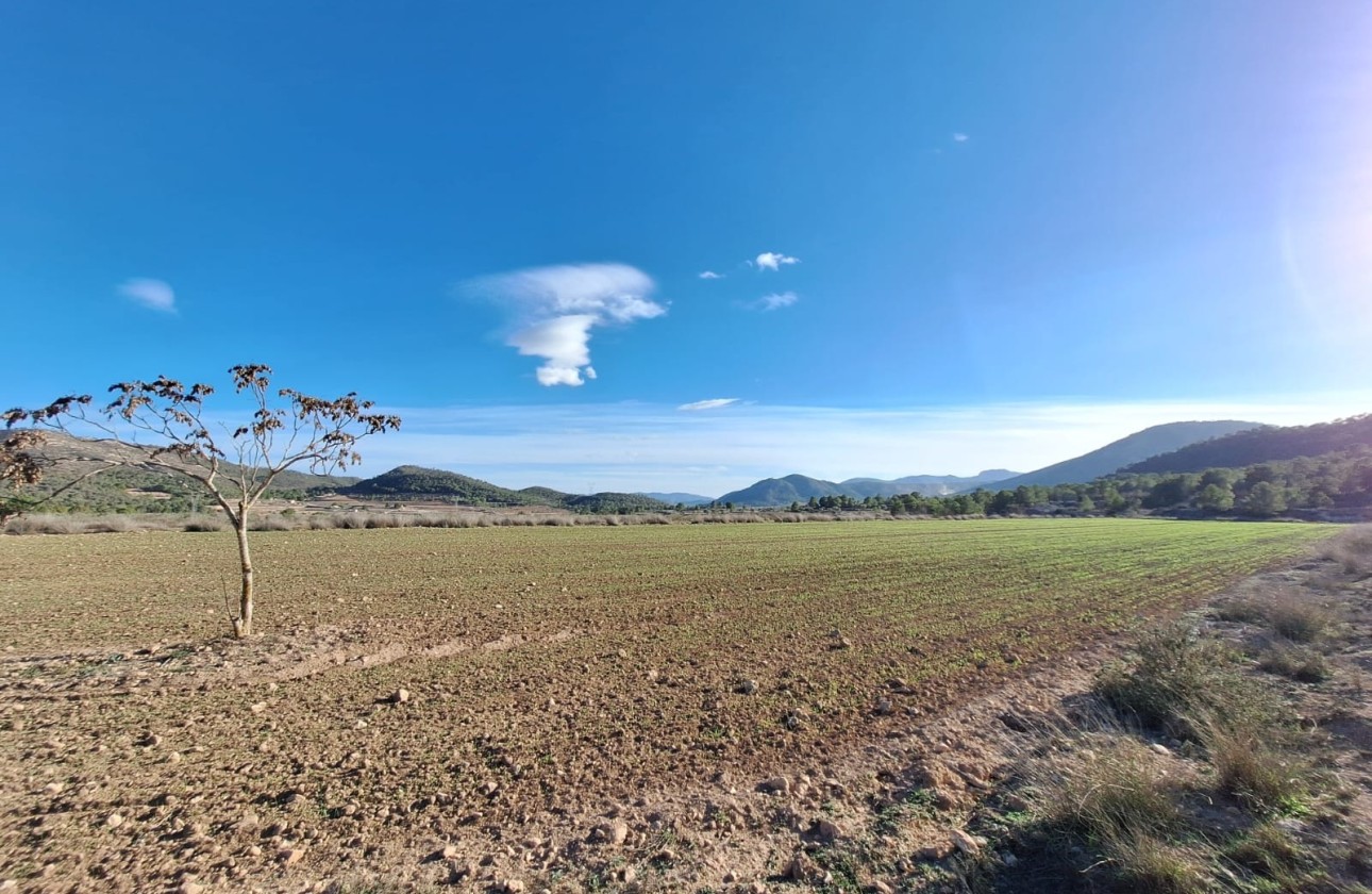 Herverkoop - Grond -
Monovar