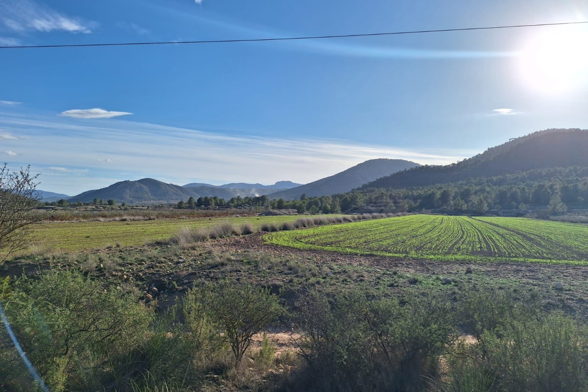 Herverkoop - Grond -
Monovar