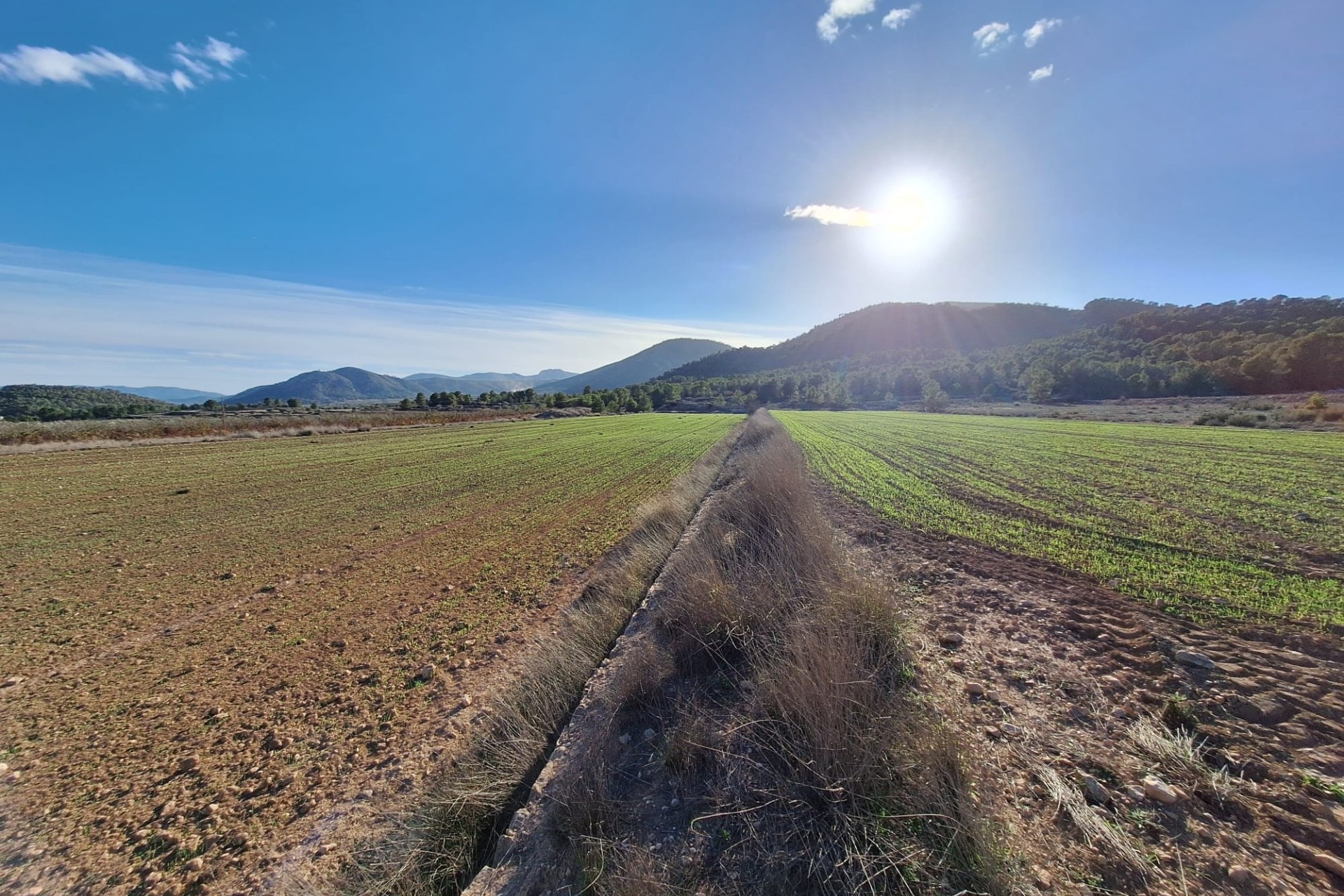 Herverkoop - Grond -
Monovar