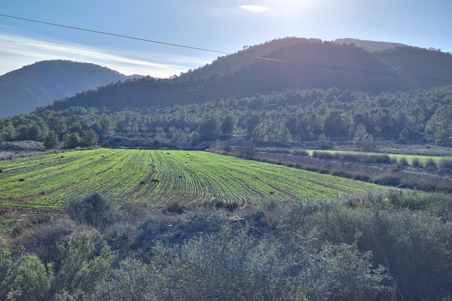 Herverkoop - Grond -
Monovar