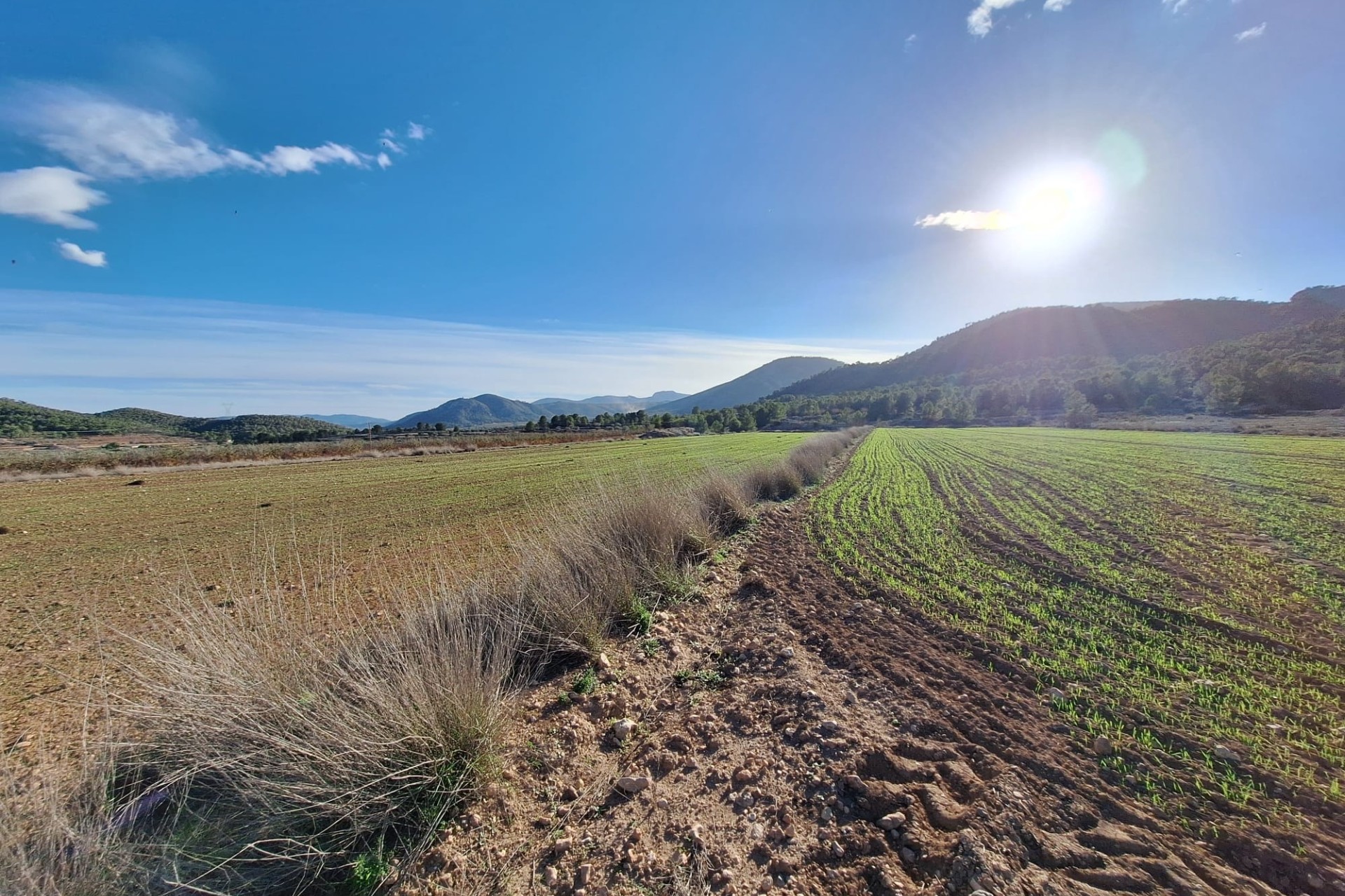 Herverkoop - Grond -
Monovar