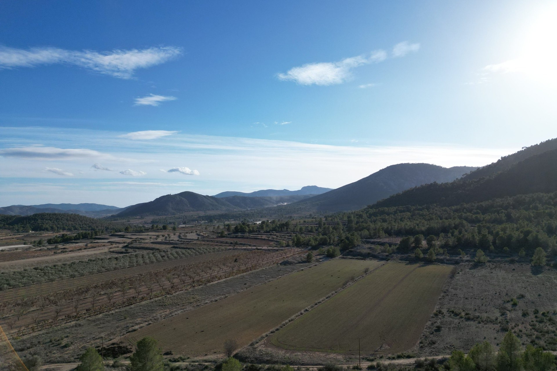 Herverkoop - Grond -
Monovar