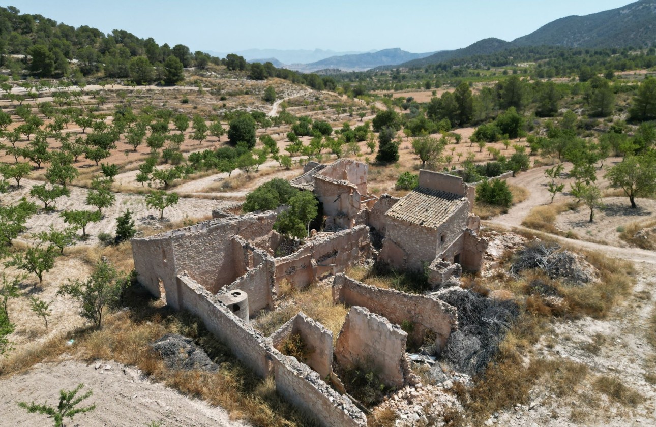 Herverkoop - Grond -
Monovar