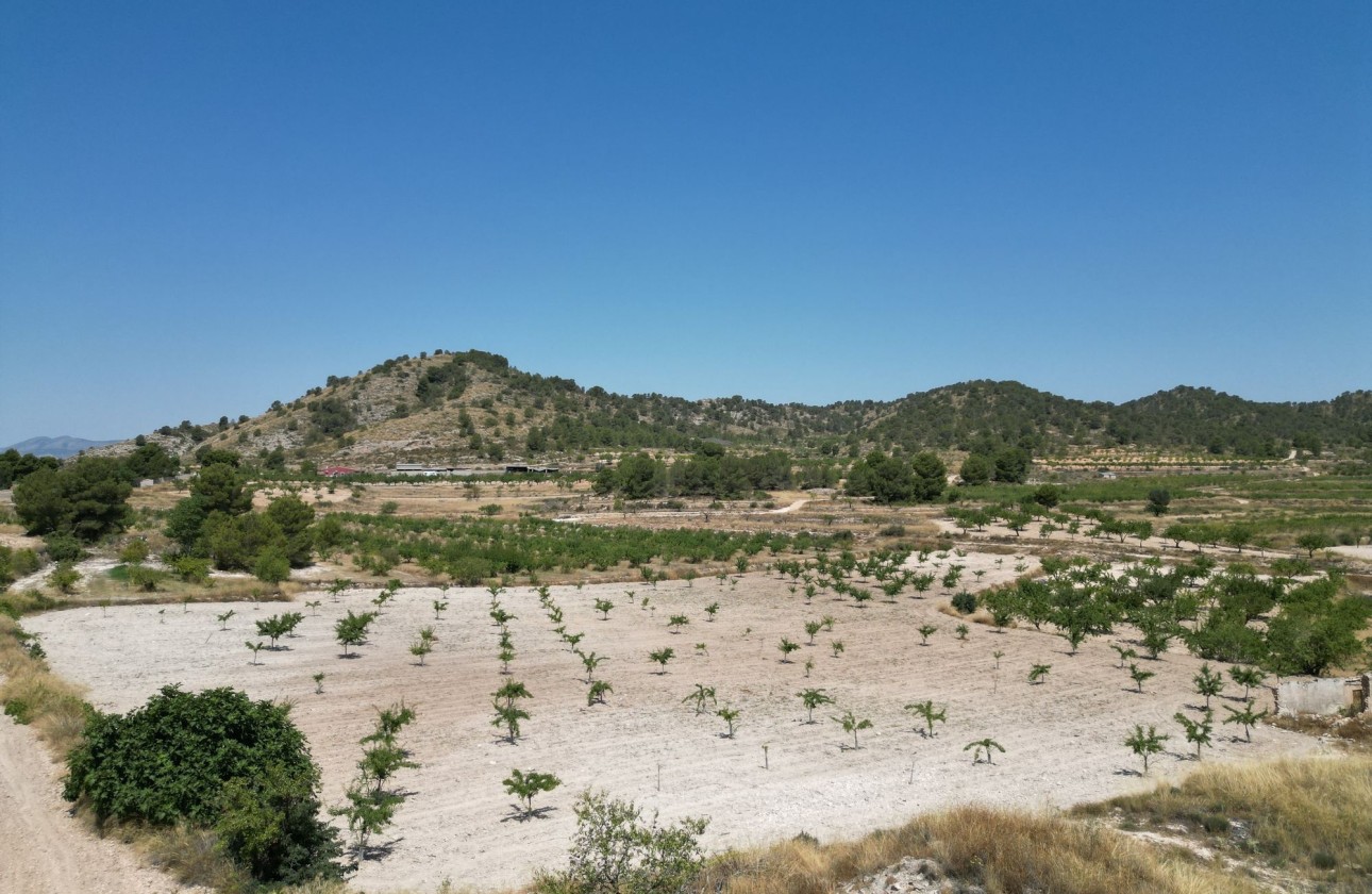 Herverkoop - Grond -
Monovar