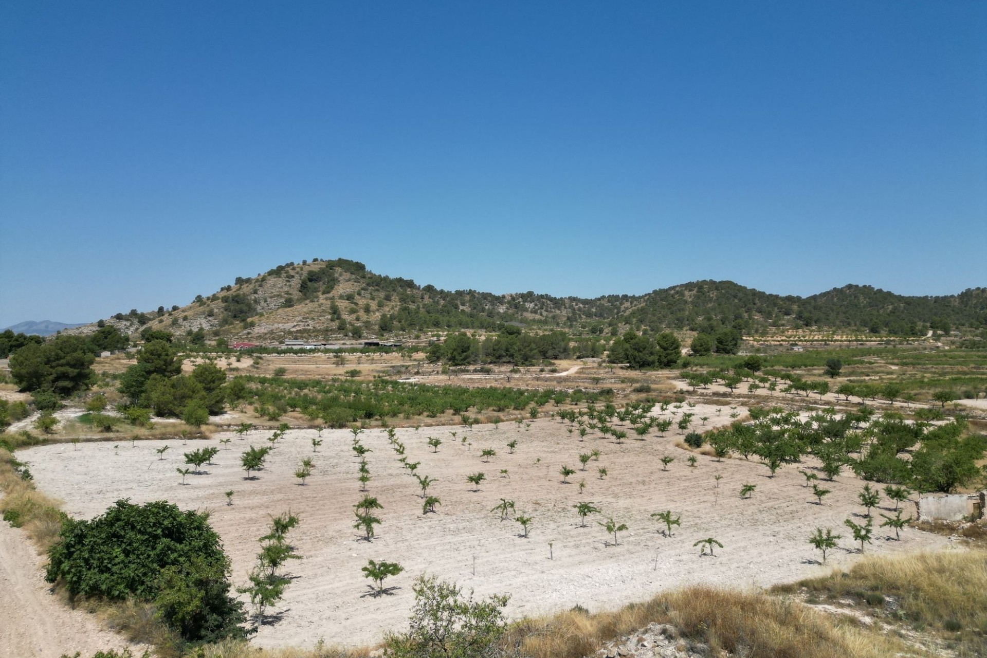 Herverkoop - Grond -
Monovar