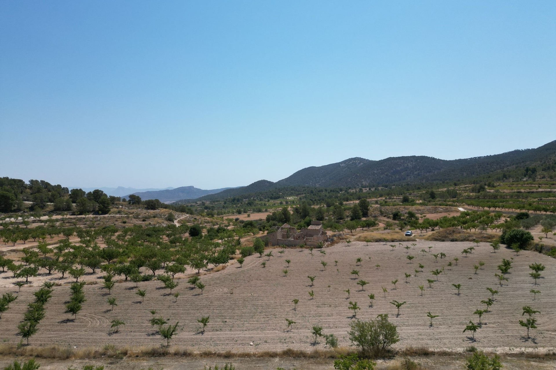 Herverkoop - Grond -
Monovar