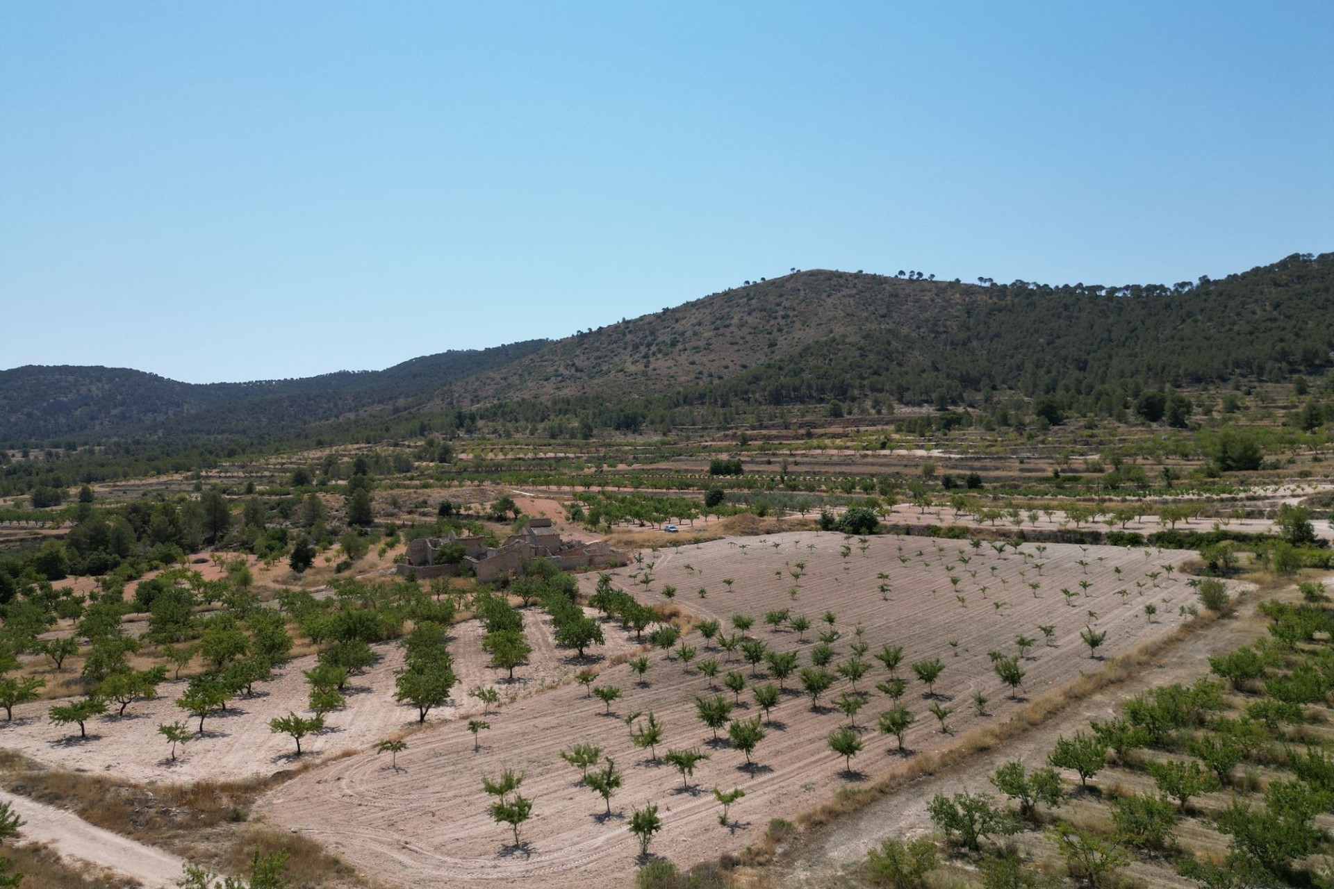 Herverkoop - Grond -
Monovar