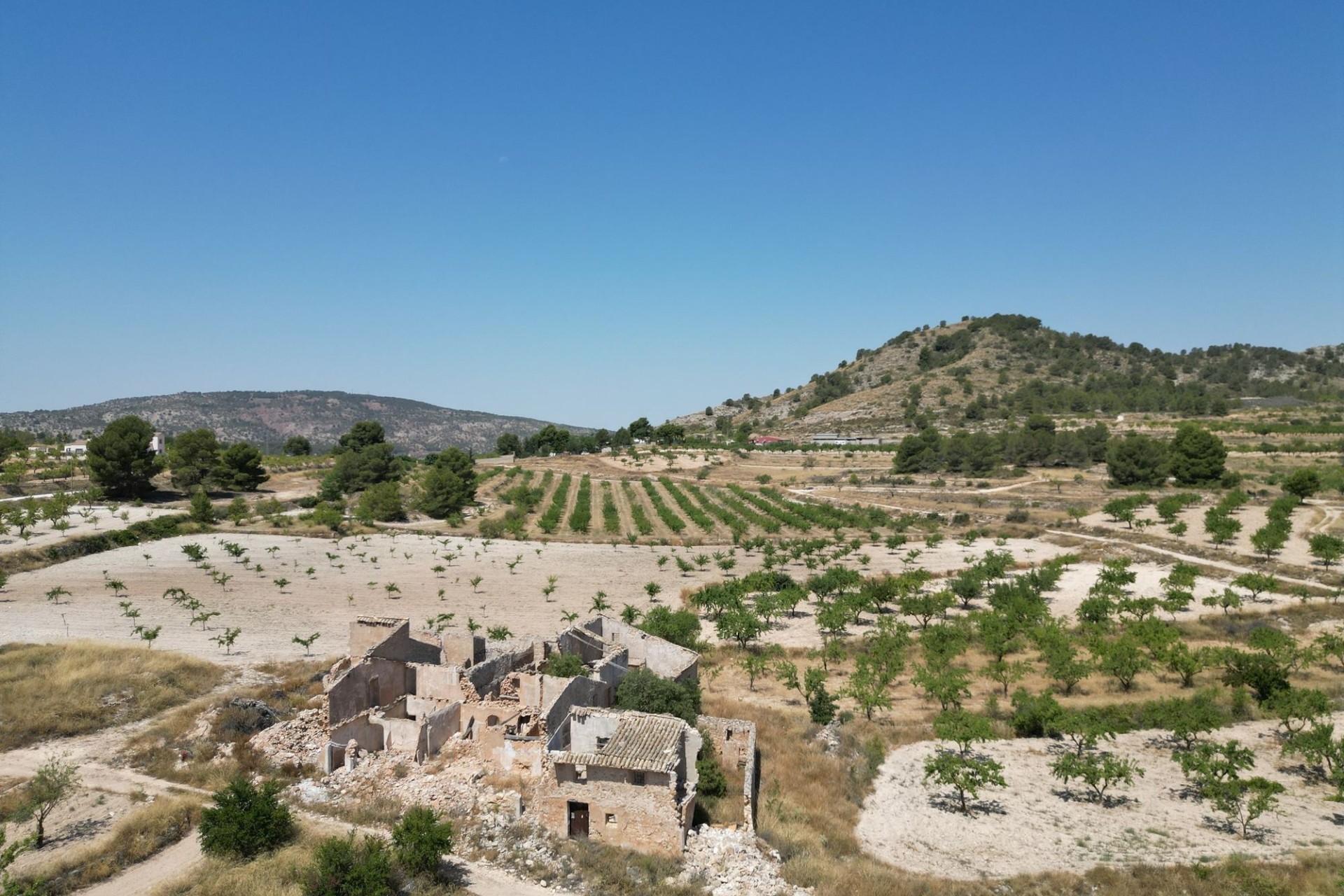 Herverkoop - Grond -
Monovar