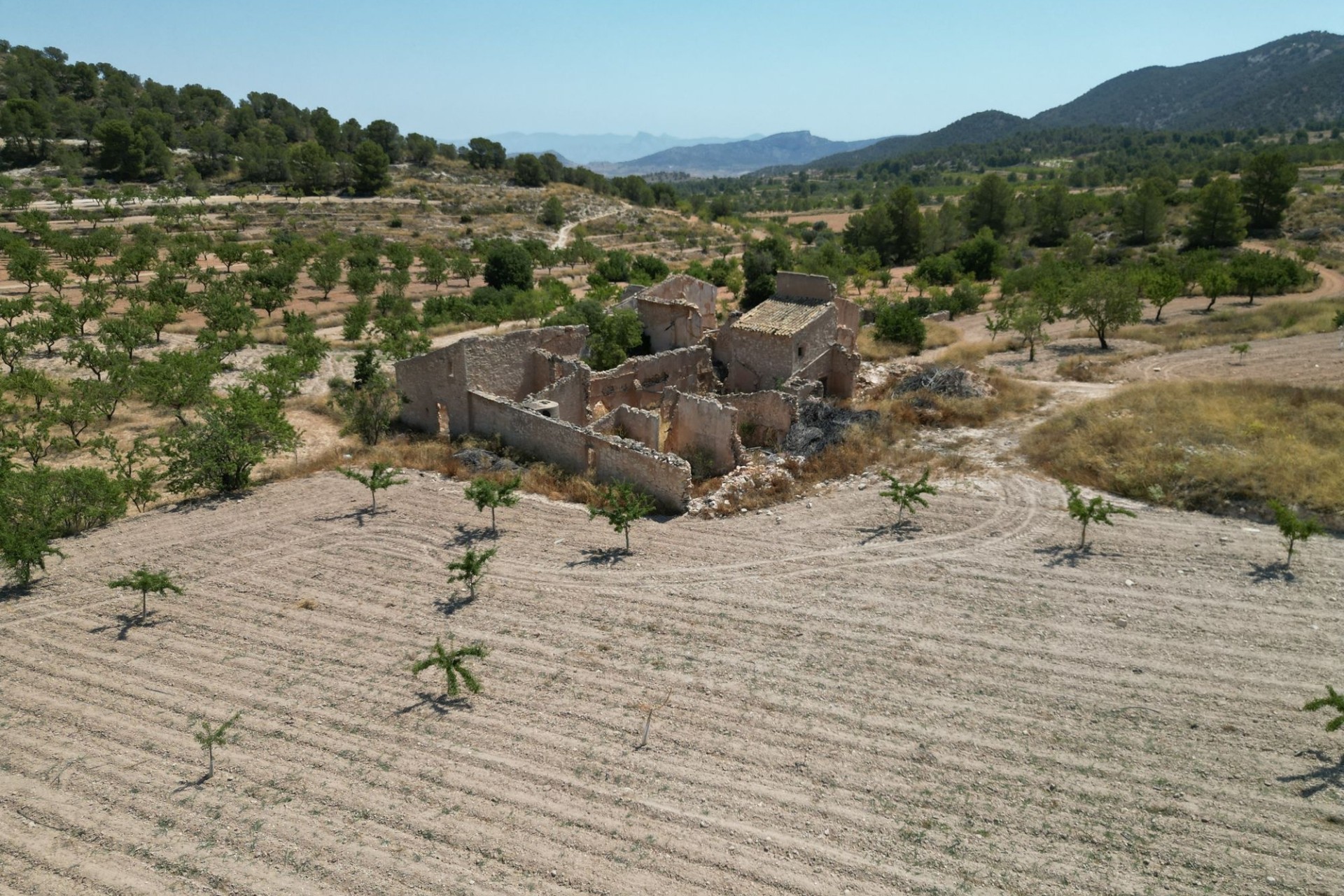 Herverkoop - Grond -
Monovar