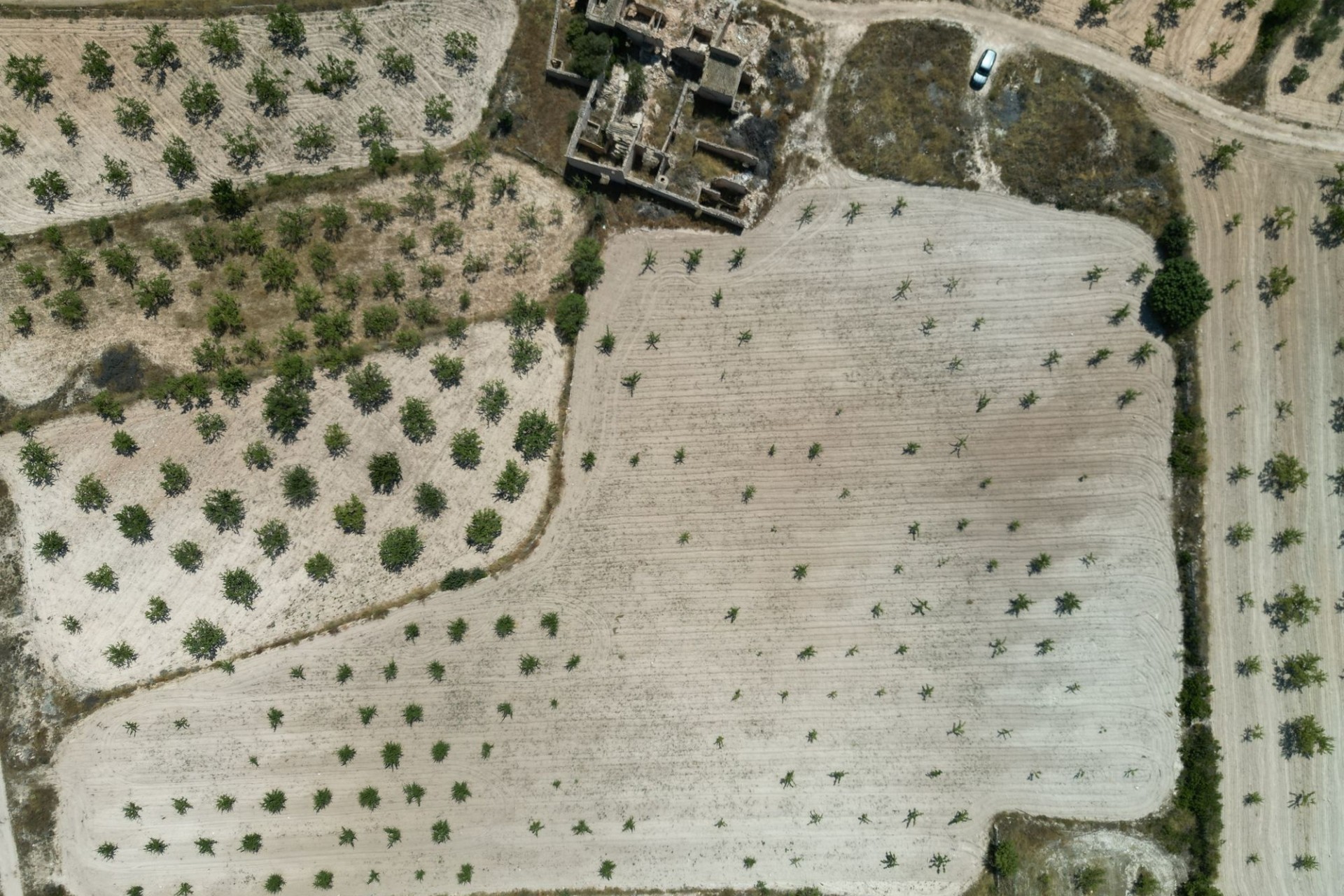 Herverkoop - Grond -
Monovar