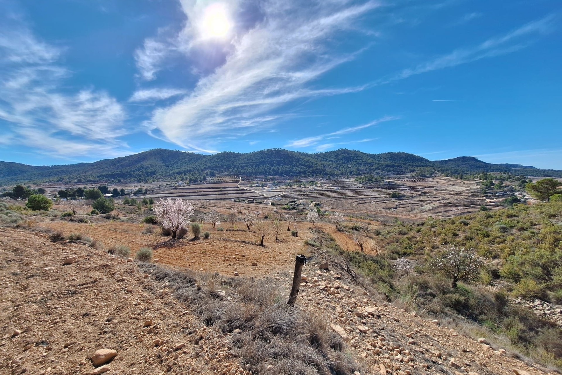 Herverkoop - Grond -
Pinoso