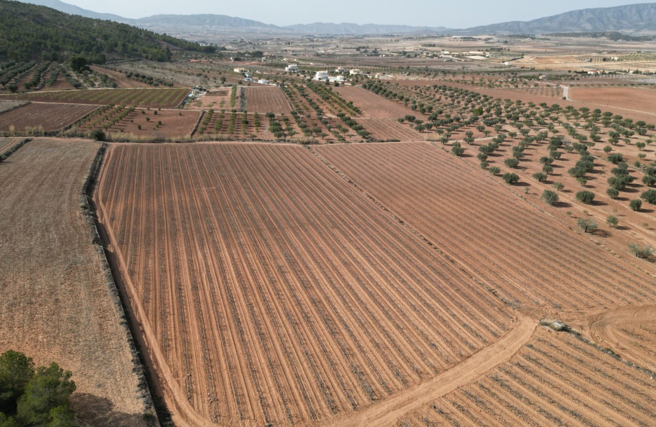 Herverkoop - Grond -
Pinoso